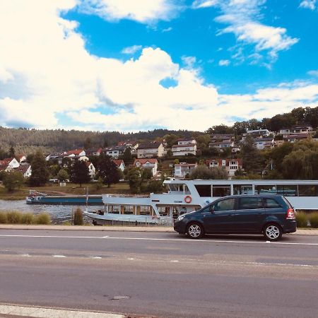 Natur Und Neckarblick Bei Heidelberg Hirschhorn Buitenkant foto