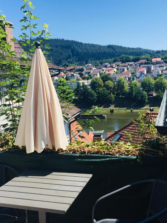 Natur Und Neckarblick Bei Heidelberg Hirschhorn Buitenkant foto