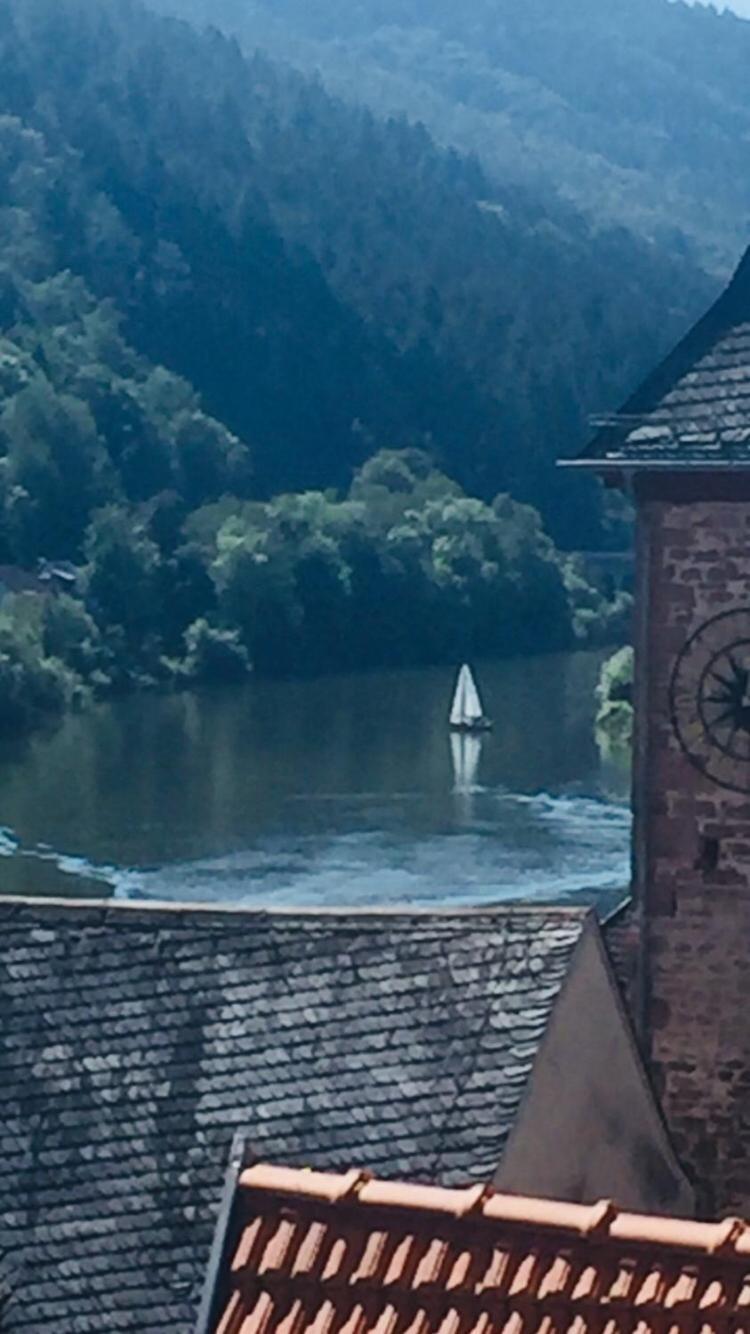 Natur Und Neckarblick Bei Heidelberg Hirschhorn Buitenkant foto