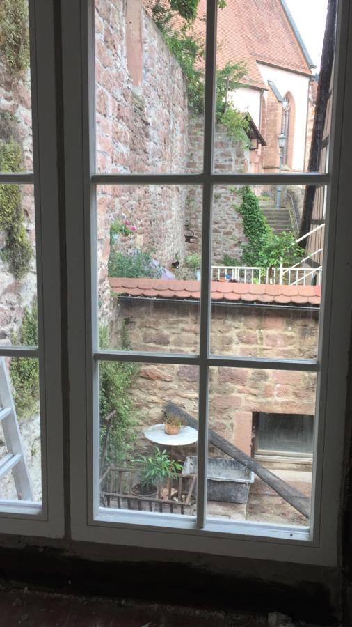 Natur Und Neckarblick Bei Heidelberg Hirschhorn Buitenkant foto