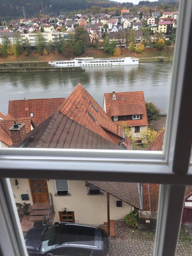 Natur Und Neckarblick Bei Heidelberg Hirschhorn Buitenkant foto