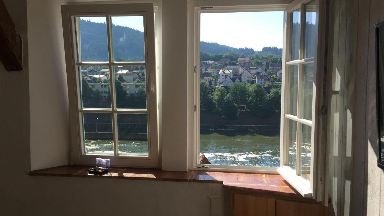 Natur Und Neckarblick Bei Heidelberg Hirschhorn Buitenkant foto