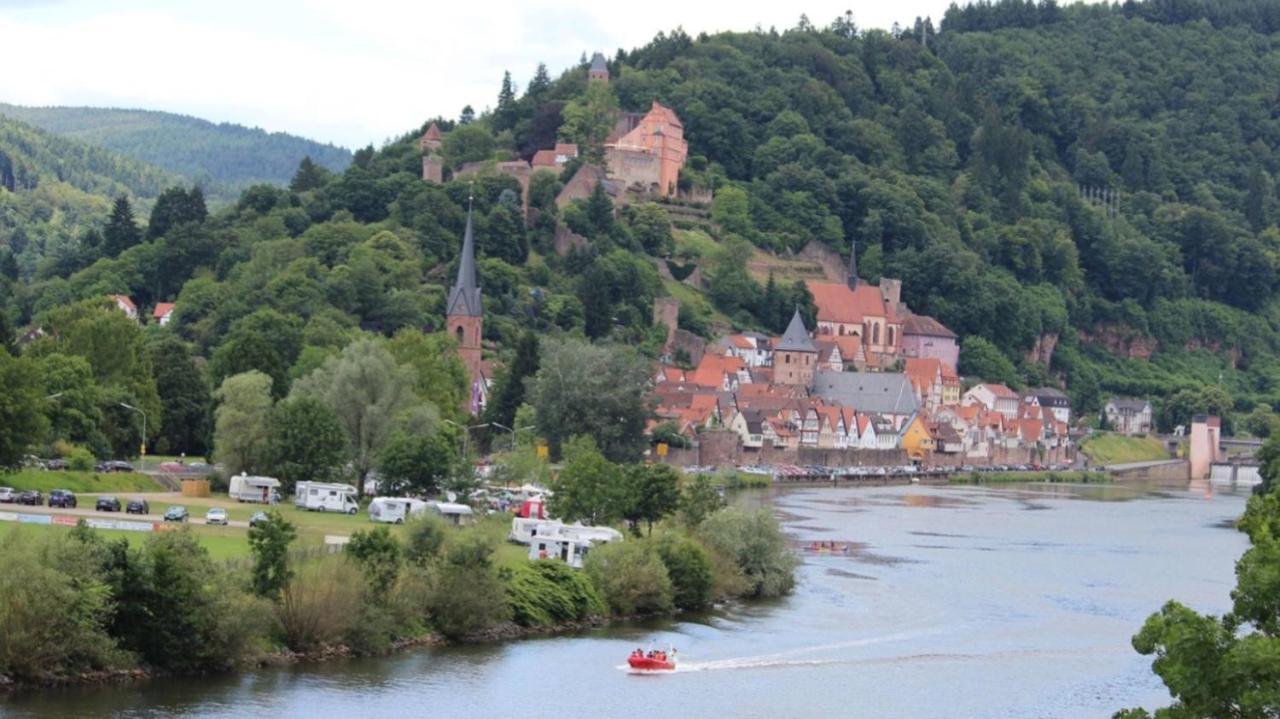 Natur Und Neckarblick Bei Heidelberg Hirschhorn Buitenkant foto