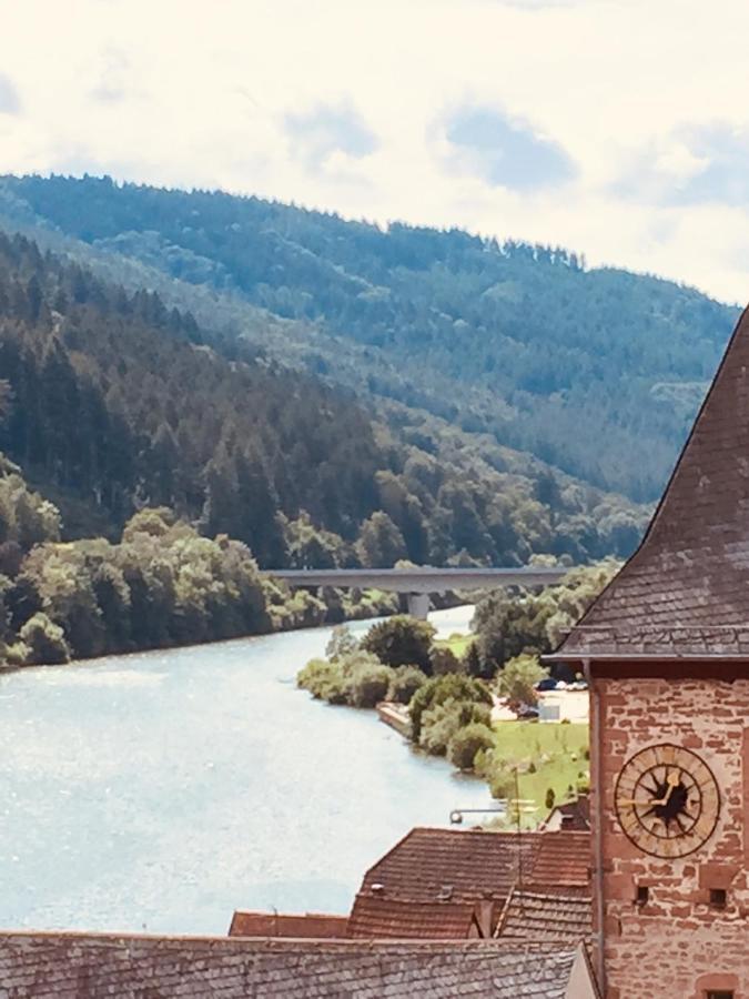 Natur Und Neckarblick Bei Heidelberg Hirschhorn Buitenkant foto