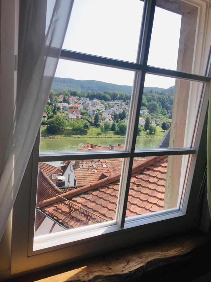 Natur Und Neckarblick Bei Heidelberg Hirschhorn Buitenkant foto