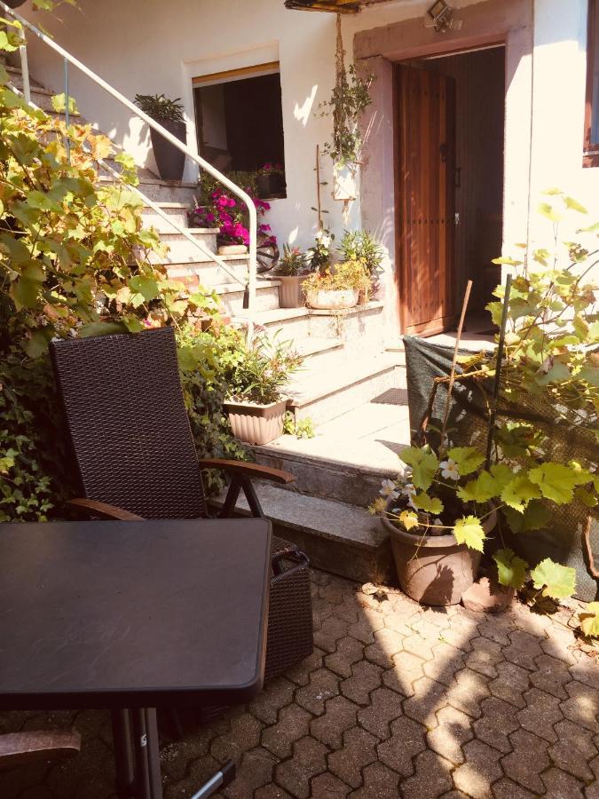 Natur Und Neckarblick Bei Heidelberg Hirschhorn Buitenkant foto