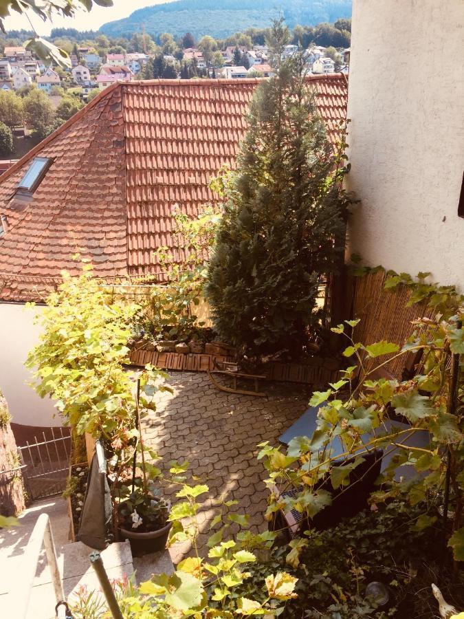 Natur Und Neckarblick Bei Heidelberg Hirschhorn Buitenkant foto