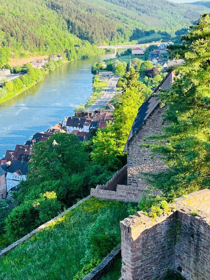 Natur Und Neckarblick Bei Heidelberg Hirschhorn Buitenkant foto