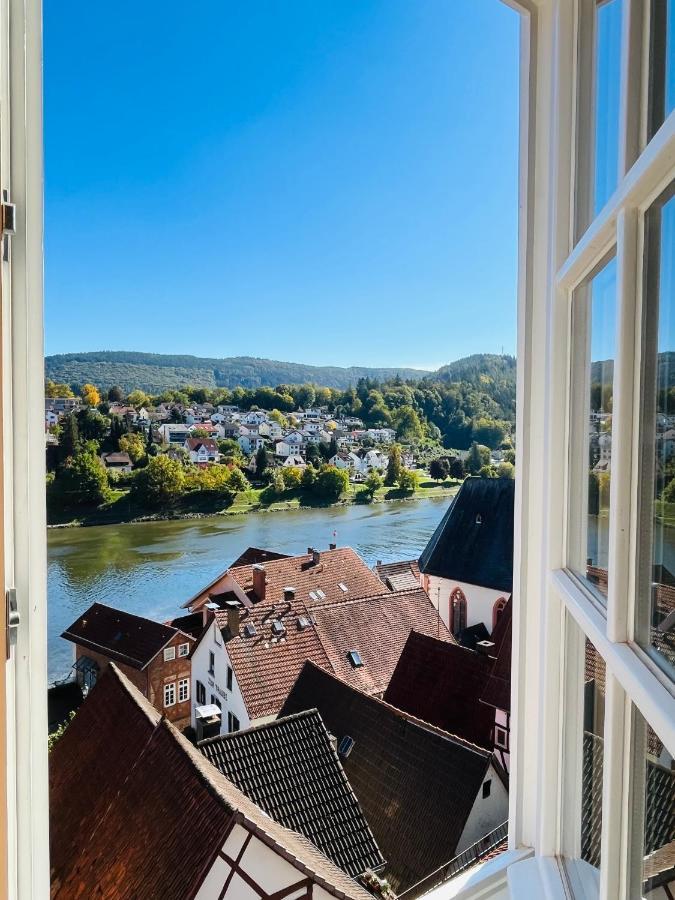 Natur Und Neckarblick Bei Heidelberg Hirschhorn Buitenkant foto