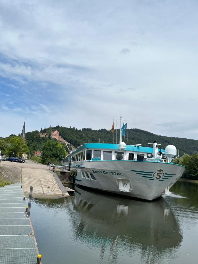 Natur Und Neckarblick Bei Heidelberg Hirschhorn Buitenkant foto