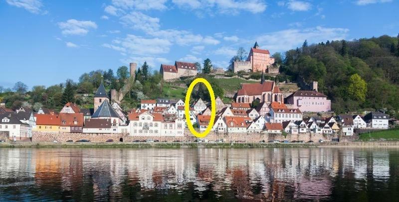 Natur Und Neckarblick Bei Heidelberg Hirschhorn Buitenkant foto