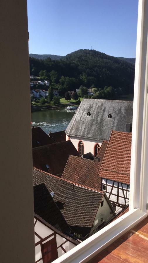 Natur Und Neckarblick Bei Heidelberg Hirschhorn Buitenkant foto